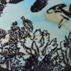 Reef Diving - Image 2